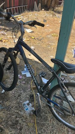 Sedona de bicycle