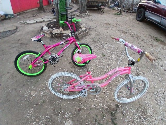 2 Girls Bike For Both $30