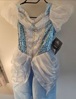 Nwt Disney Cinderella Girls Costume Dress