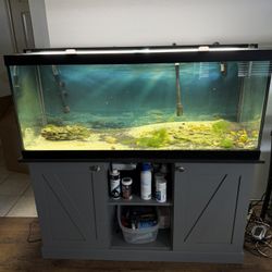 75 gallon fish tank