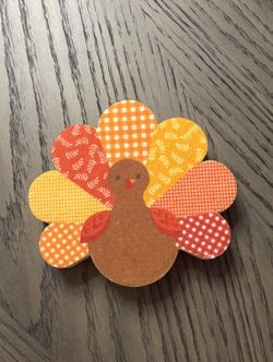 Turkey Scrub Pad NEW FREE