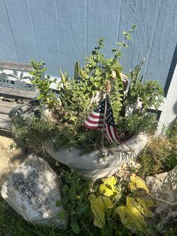 Big planter pot
