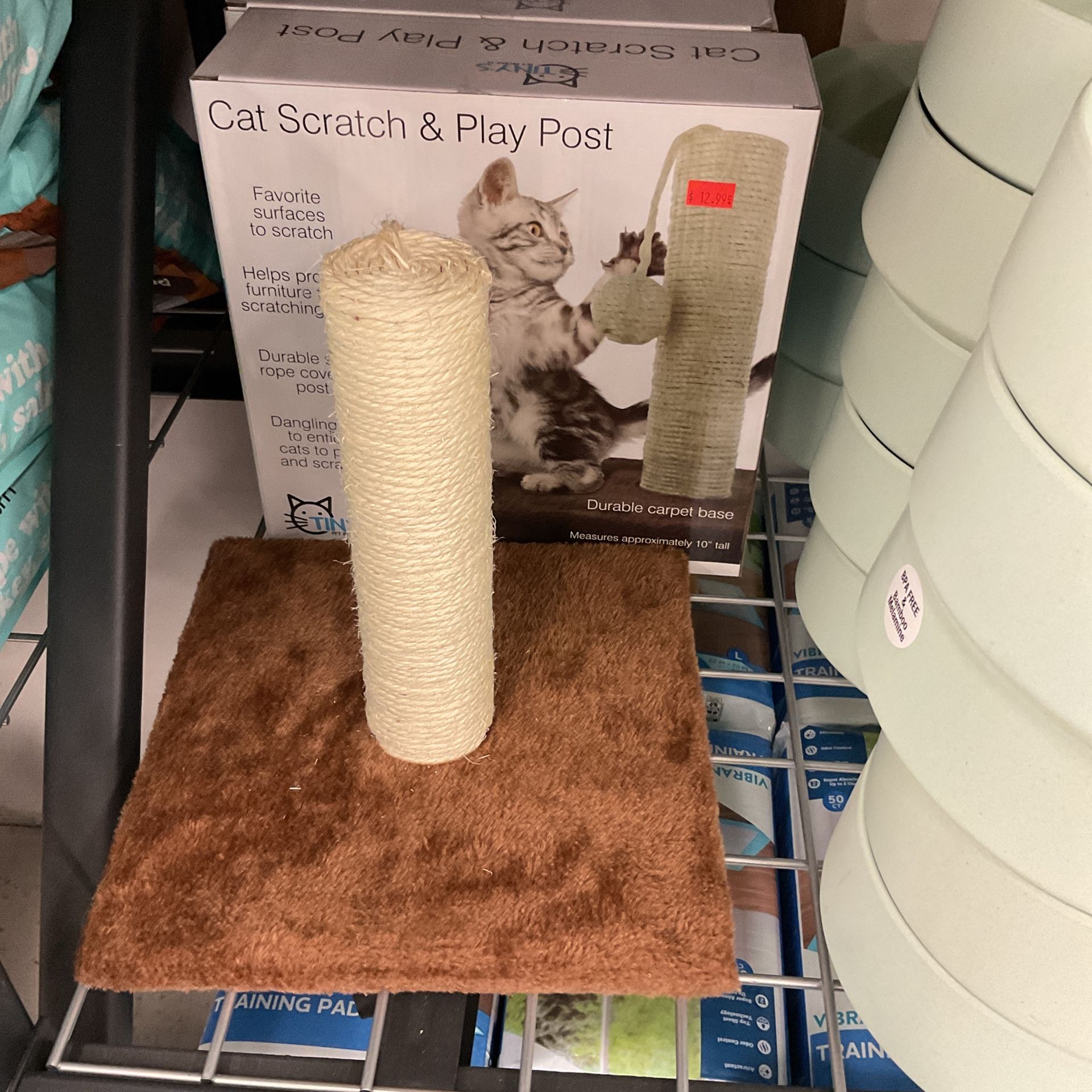 Cat And Scratch Play Post