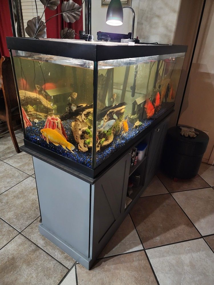 75 Gallon Tank With Stand 
