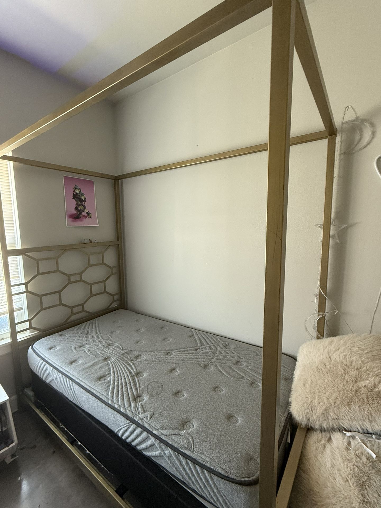 Twin Size Canopy Bed Frame +mattress and box spring