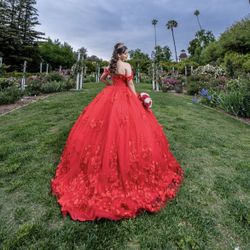 Quinceañera Dress 