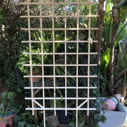 Trellis 38”x68” NEW