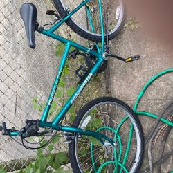 Roadmaster