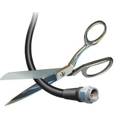 48x36 Lion Canvas With White Frame