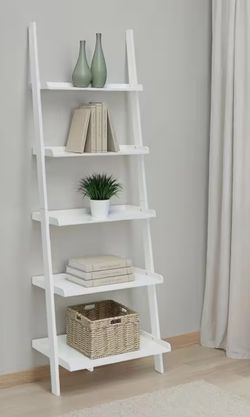 Bookcase ladder