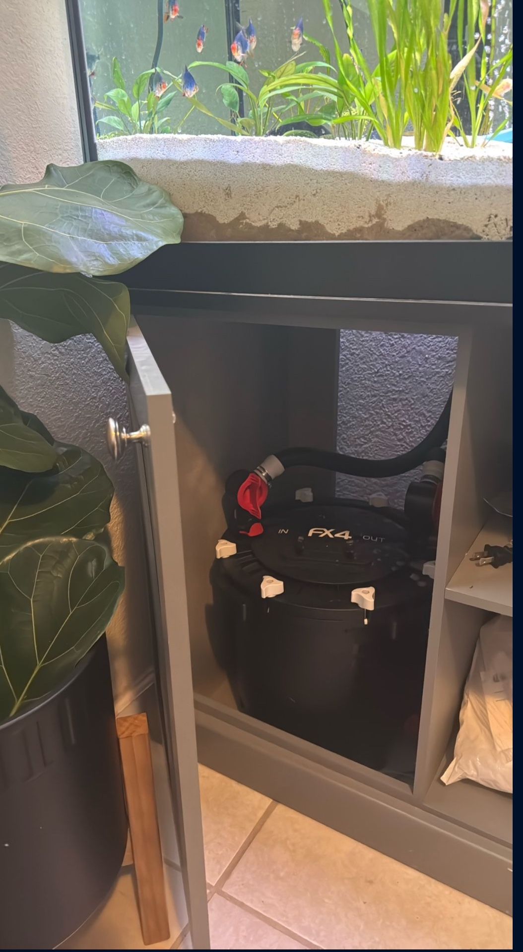 FX4/ Aquarium