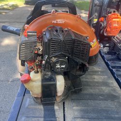 Echo leaf blower