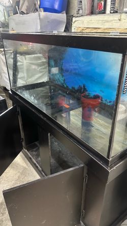 75 gallons aquarium