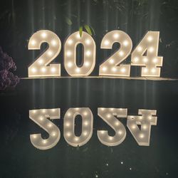 Light Up 2024 Numbers