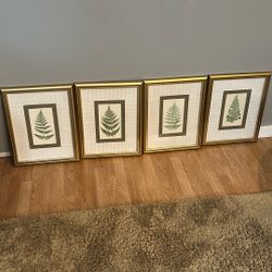 Fern Print Set