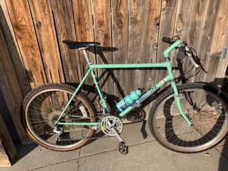 Bianchi grizzly mountain bike