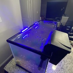 Fish Tank For Sale ! 