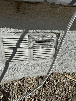 Rat - Animal Proofing