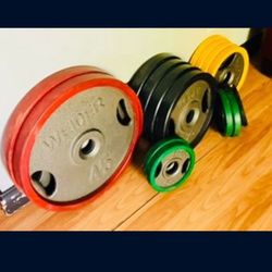 Handle grip plates / weights w/ rubber coating 255lbs of weight