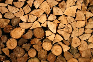 Selling Fire wood