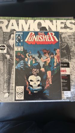 The Punisher 12