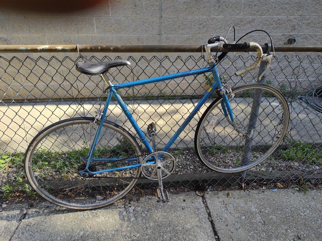 Tall Frame Schwinn Worldsport Singlespeed Road Bike W Drop Bar/ Freewheel 
