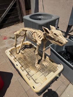 Halloween Decorations