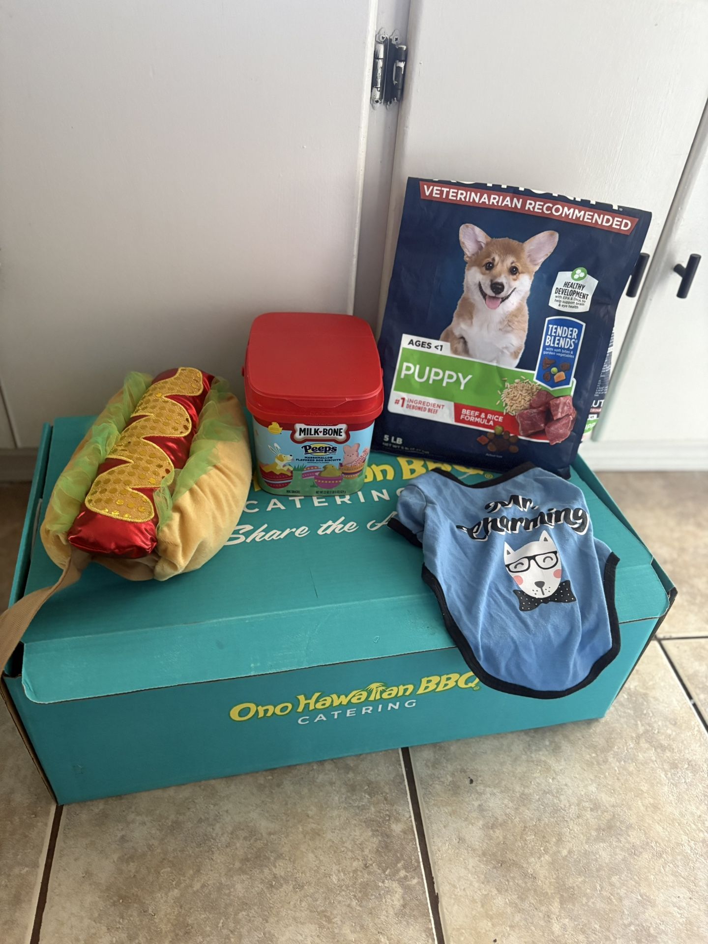 Dog/Puppy Stuff