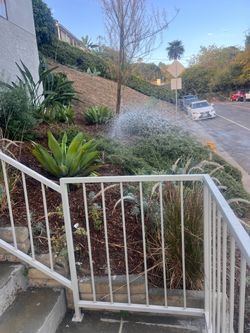 Free garden
