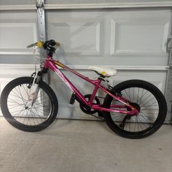HARO FLIGHTLINE 20 Mountain Bike 
