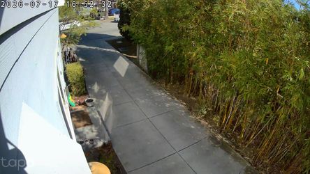 Bamboo for projects