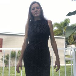 Velvet Calvin Klein Dress Size 4