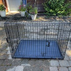 Dog Crate iCrate 