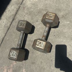 25 Pound Dumbbells
