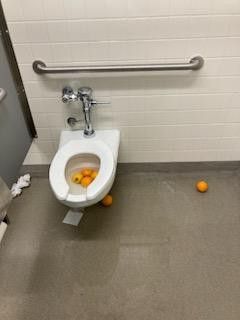 Toilet Full Of Oranges