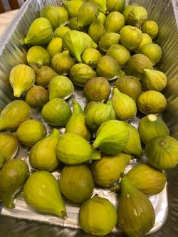 Fresh Figs
