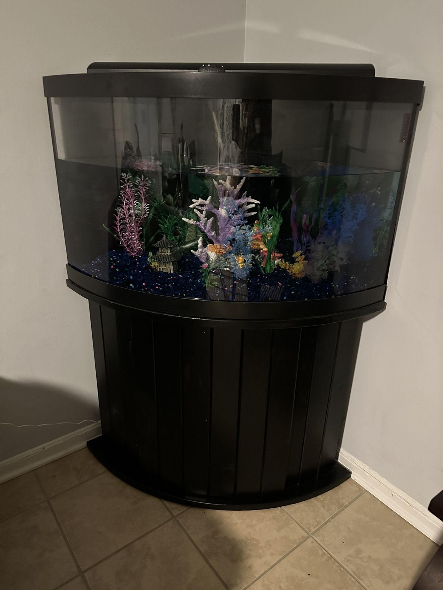 Petsmart 54 hotsell gallon corner aquarium