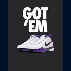 Kobe 1 81 Point Game  NEW 