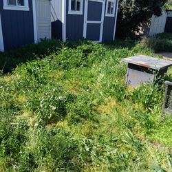 Lawn, Irrigation, 