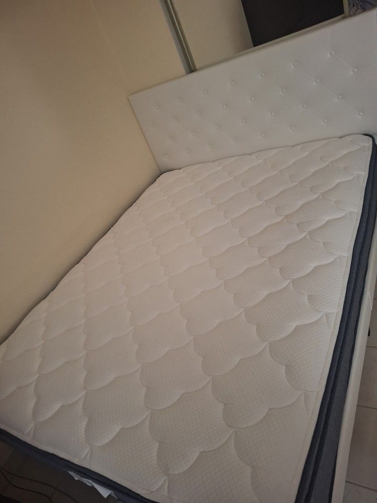 Queen Size Bed Plus Matress