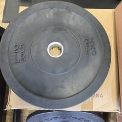 Bumper Weight Plates