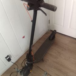 Segway Ninebot Electric Scooter 