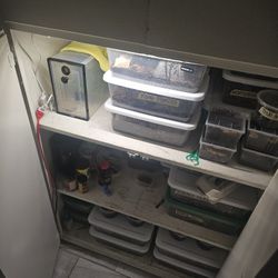 Springtails  Isopods 