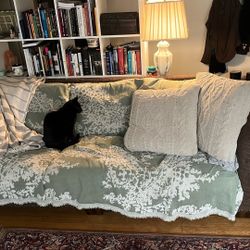 Large, Sturdy Brown Couch