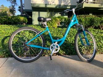 Specialized Expedition Comfort Cruiser Bike - Medium (Fits 5'4" - 5'8"), 7-Speed