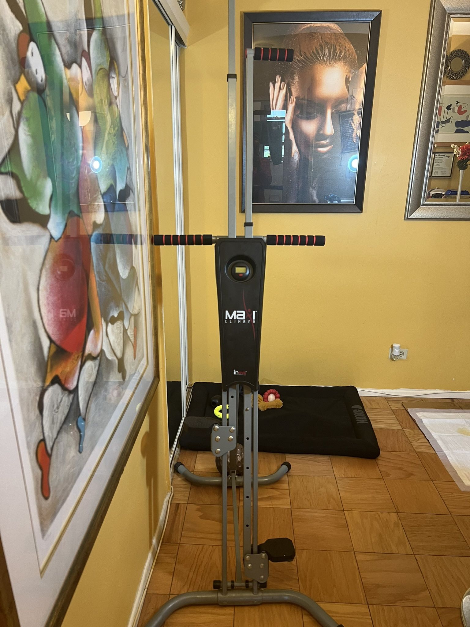 Exercise Equipment/maxi Climber
