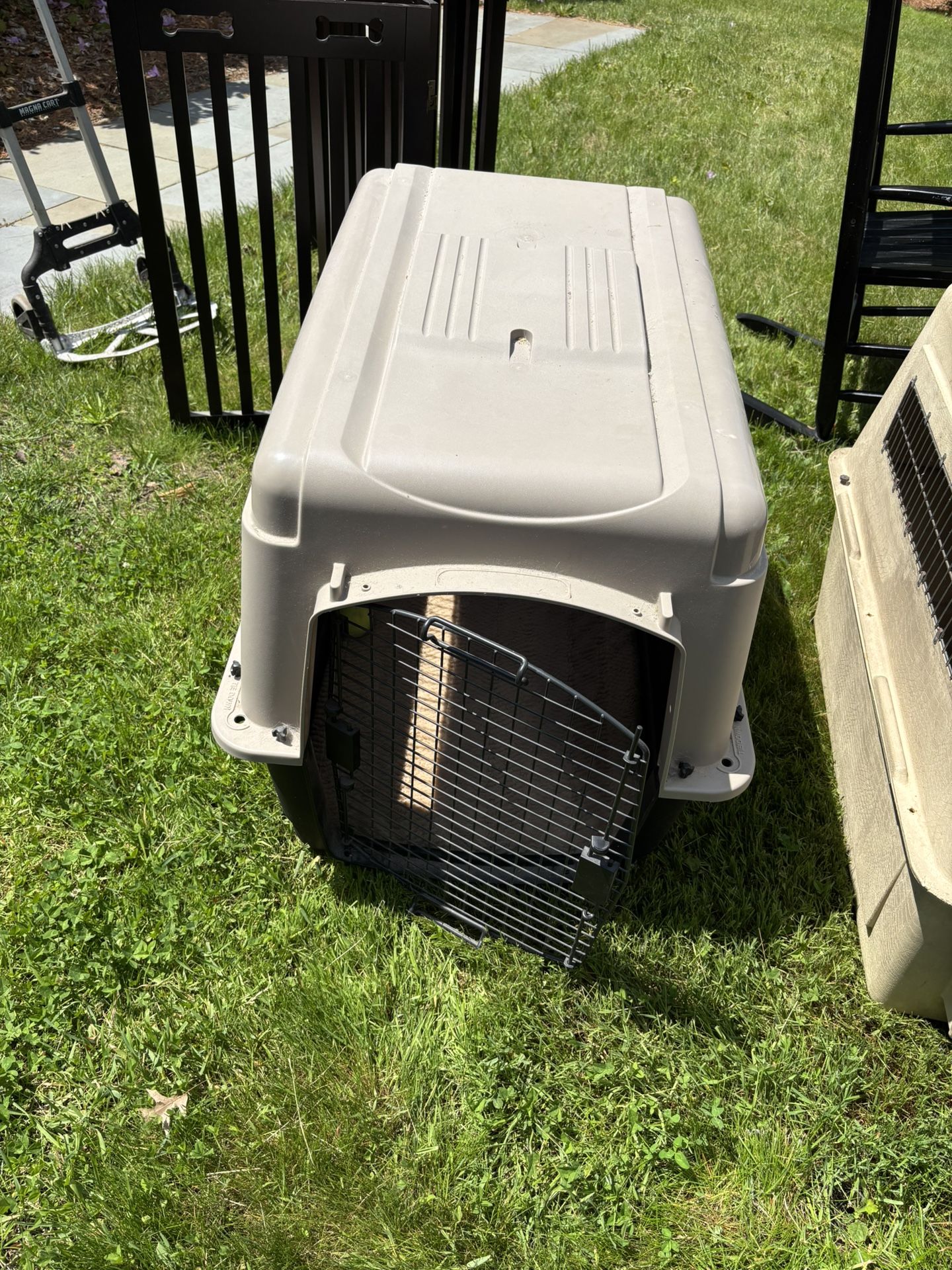 Free Medium Dog Crate