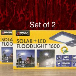 Solar Flood Light - NEW (Set of 2)