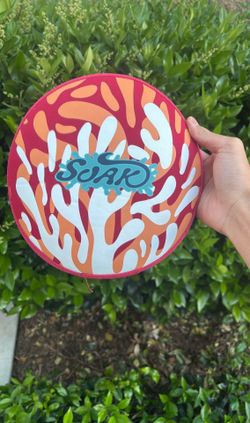Pool Frisbee