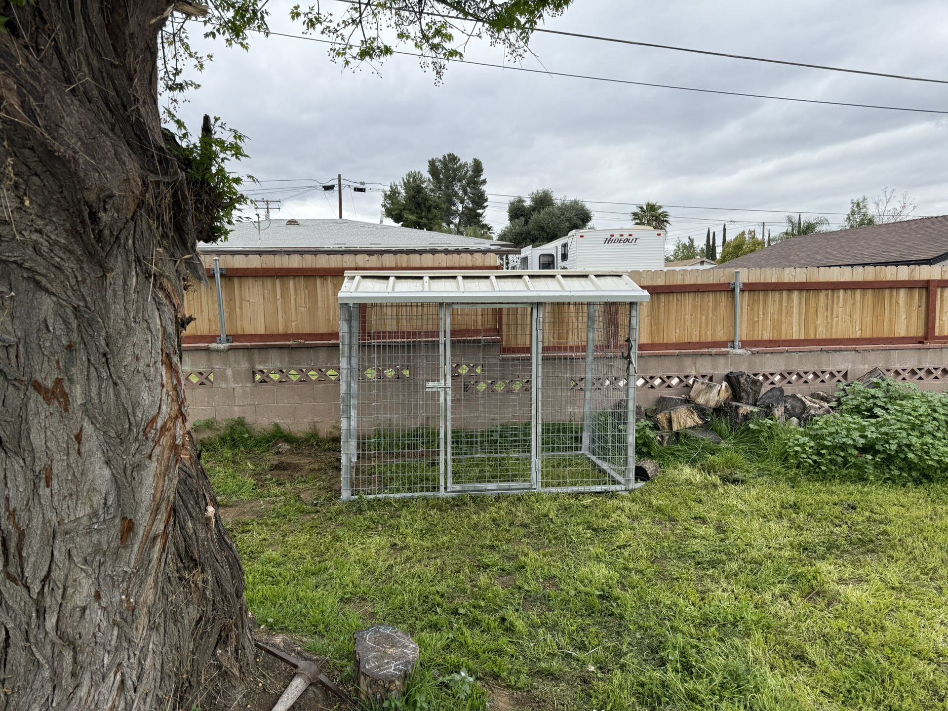 Dog House